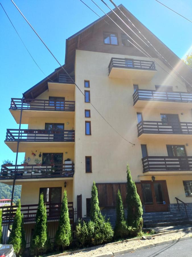 Garsoniera Sinaia Central Cu Terasa In Aer Liber Nu Este La Subsol Blocul Este In Panta Si Numerotat De La Minus 1 Apartamento Exterior foto